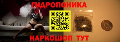 ешки Гудермес