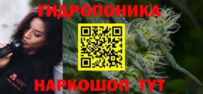 ешки Гудермес