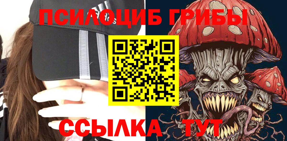 Галлюциногенные грибы Magic Shrooms  закладка  Галлюциногенные грибы ЛСД  Железноводск  Вход с VPN 