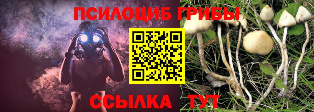 Галлюциногенные грибы мухоморы Железноводск
